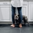 Kitchen with woman standing at sink and dog in between her legs. Kitchen has tile flooring.